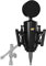 Neat Microphones Neat King Bee II - Micrófono de Condensador cardioide de diafragma Grande Incluye Soporte de Choque y Filtro Pop, para grabación Vocal, Podcast y transmisión, Salida XLR, Color Negro