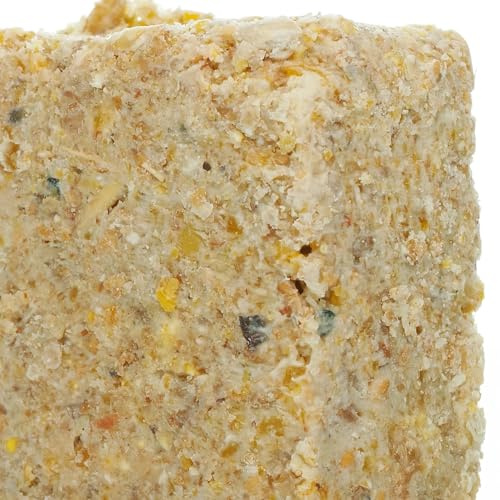 BusyBeaks Suet Fat Blocks | Premium Garden Wild Bird Food | Enhanced Formula | Naturally Blended, High in Energy & Protein-Rich Feed | Full of Nutritious Fat Fibre & Moisture (Sunflower Hearts, 3)