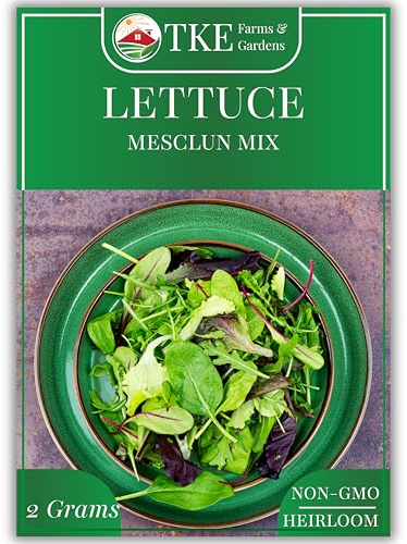 TKE Farms & Gardens - Mesclun Lettuce Mix Seeds for Planting, 2 Grams, 1000 Heirloom Seeds, Non-GMO, Instructions Included, Lactuca Sativa, Qty 1