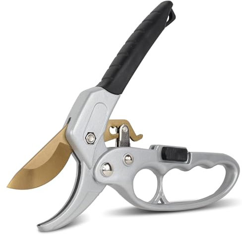 FISHTEC - Sécateur de Jardin Titane à Crémaillère - Poignée Ergonomique Antidérapant, Coupe Nette et Franche Sur Enclume, Branches jusqu'à 20 mm, Résistant - Verrouillage de Sécruité - 20 CM - Gris