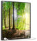 STEINFELD Heizsysteme® Glas Bild Infrarotheizung inklusive TS11 WiFi Thermostat | Made in Germany | Motive 067 Wald Panorama (350 Watt, schwarz)