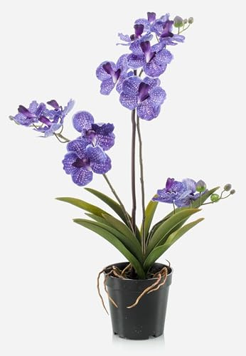 artplants.de Orchidea Vanda Artificiale Campo, Viola, 60cm - Orchidea Finta - Fiore di Seta