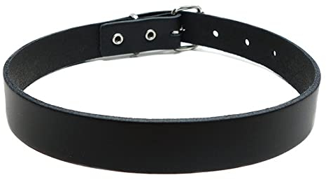 Gletscherlicht Lederhalsband mit Schnalle - Schwarz - Leder Halsband aus 100% Echtleder, Choker ohne Nieten, Style: Gothic Punk Rock Schmuck - Modeschmuck