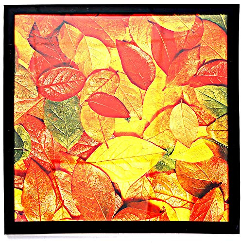 Marco de póster cuadrado de 33 x 33 cm, marco de fotos negro – amplia moldura como marcos de fotos de pared y mesa para tamaño sin paspartú de 13 x 13 pulgadas (con paspartú, no incluido) 12.5 x 12.5