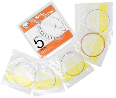 5 Stück Ersatzsaiten für Banjo-Saiten, leichte Dicke, einfache Installation, heller Klang, Metalltextur für Musikinstrumente