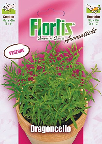 Flortis 4357009 Estragon (Estragonsamen)
