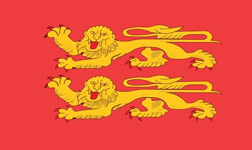 P'TIT CLOWN - Drapeau 90x150 cm - Parfait pour Célébrations nationales, régionales et Événements Sportifs (Normandie)