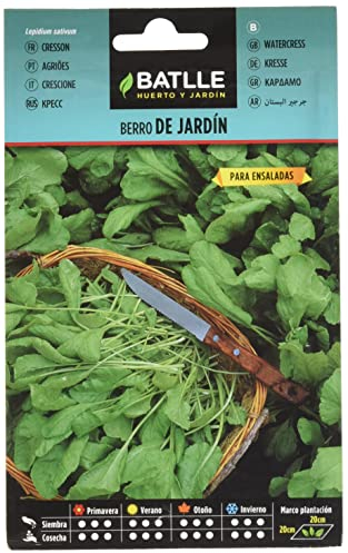 Graines aromatiques de Batlle - Cresson de Jardin (Seeds - 20-30cm)