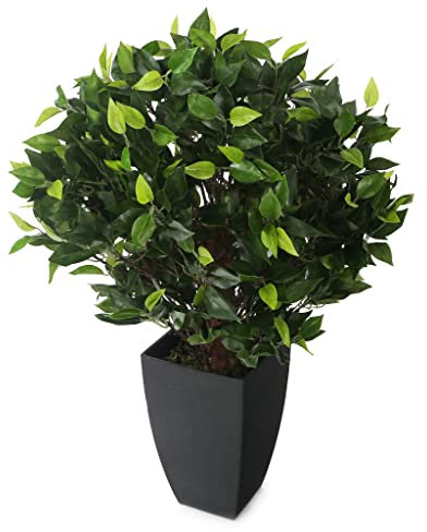 Closer2Nature 2ft Artificial Danielle Weeping Fig Tree with Silk Blend Leaves Perfect as a Gift or as Indoor Hallway, Kitchen, Office and Home Faux Plants