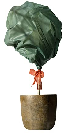 Windhager Winter-Vlies Deko, Kälteschutz, Frostschutz für Pflanzen, dekorativer Winterschutz, Abdeckvlies, 10 x 1,6 m, grün