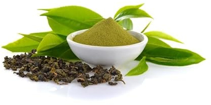 Pfefferminze Pflanze 1 Kg PULVER Mentha piperita