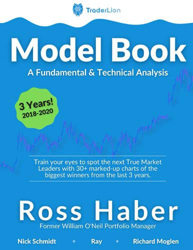 TraderLion Model Book: A Fundamental & Technical Analysis