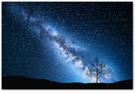 Postereck - 2623 - Tirage Voie Lactée Arbre Nuit Étoiles Ciel Nature – Art Mural, Paysage, Astronomie - Affiche - 3:2 61,0 cm x 40,5 cm