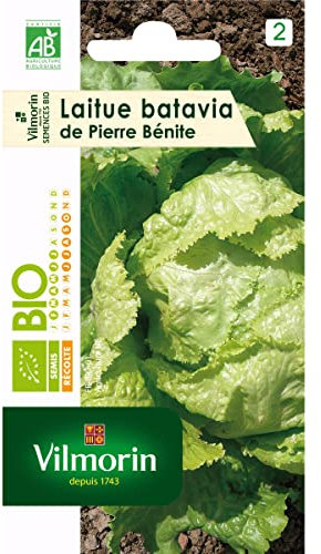 Vilmorin Sachet graines Laitue Batavia de Pierre Benite Bio