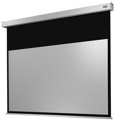 Celexon Leinwand Motor Professional Plus 220 x 137 cm