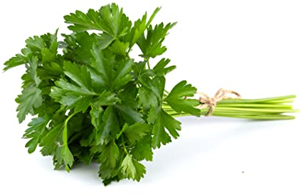 1500+ Samen Petersilie Glatte Petroselinum sativum Küchenkräuter