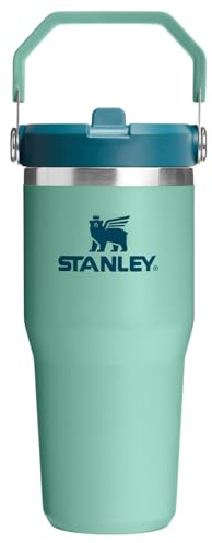 Stanley IceFlow 2.0 Flip Straw Tumbler with Handle 14 oz | Twist on Lid and Flip Up Straw | Leak-Proof Water Bottle | Insulated Stainless Steel | BPA Free | Spring Green