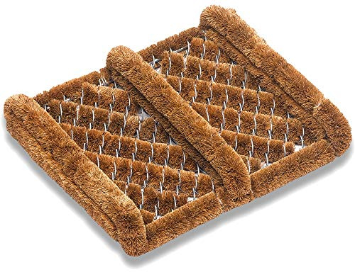 matches21 HOME & HOBBY Kokosmatte als innen und aussen-Bereich Fußmatte in 30 x 36 cm - Kokosfaser Bürstenmatte Natur als Drahtbürsten-Fußabstreifer - Sauberlaufmatte für Haustür, Flur, Garten