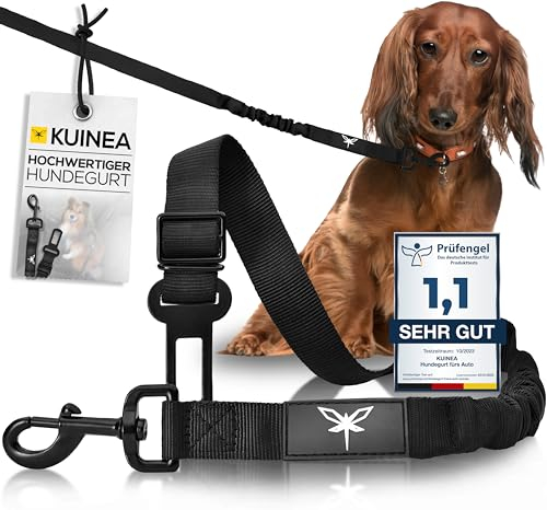 KUINEA® Sicherheitsgurt für Hunde – elastischer Hundegurt mit Rückdämpfung & Verstellbarer Länge – Anschnallgurt fürs Auto, Robustes Hunde Zubehör für alle Rassen & Autotypen