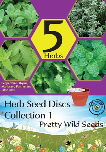 Herb Seed Disc Collection 1 by Pretty Wild Seeds - 5 Discs Peppermint Marjoram Thyme Parsley & Lime Basil - Easy to Grow