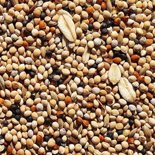 Supravit Wachtelfutter 5kg | Vollwertige Körnermischung für Wachteln, Legewachteln und Hühner als Alleinfutter | Wachtel Futter mit Hirse Glanz Perillasaat Raps Haferflocken Hafer und Leinsamen