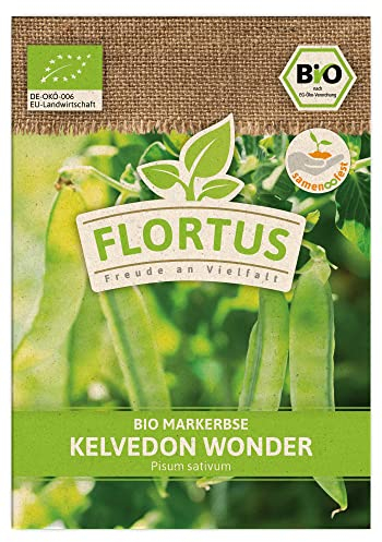 FLORTUS BIO Markerbse Kelvedon Wonder | Gemüsesamen | Erbsensamen | Markerbsensamen | Samen zur Anzucht für Garten, Balkon, Küche & Fensterbank