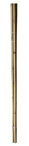 Green>it® bambustavar – 150 cm – Ø 25,4 mm – 4 st.