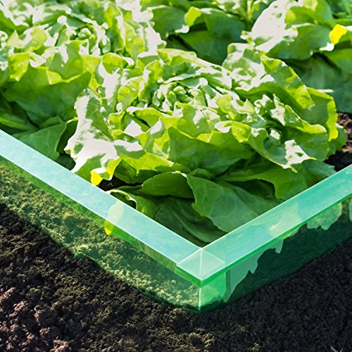 EXCOLO 16 m Schnecken-Barriere 2 Rollen je 8 m Schneckenschutz Schneckenzaun Schneckensperre Schneckenstopp Schneckenabwehr Schneckenschutzzaun für Salat Gemüse Beet umweltfreundlich giftfrei