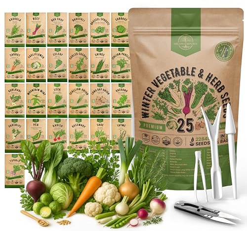 Organo Republic 25 Winter Vegetable & Herb Garden Seeds Variety Pack for Outdoors & Indoor Home Gardening 22,840+ Non-GMO Heirloom Seeds Broccoli Beet Carrot Cabbage Radish Pea Mint Thyme Parsley