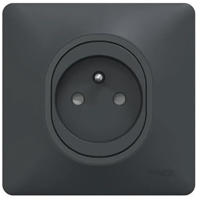 Schneider Electric - Prises 2P+T 16A encastré anthracite à puit complete avec plaque bornes auto fixation vis OVALIS
