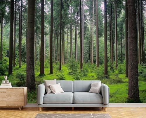 Fototapete 3D Naturlandschaft,Urwald,Wandtapete Wanddeko Wand Wohnzimmer Schlafzimmer Wohnung Wandbilder,200x140cm