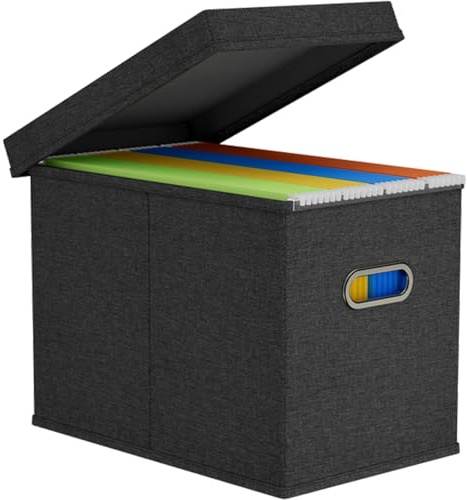 Lifewit A4 File Organiser Box with Lids, Portable Document Storage Box with Plastic Slide, Hanging File Folder Organizer for School Home Office Supplies, Decorative Folders Storage, Dark Grey, 1 Pack