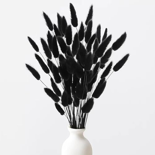 120 Stück Getrocknete Blumen, 43 cm Heimdekoration, Trockenblumen Zum Basteln, Kaninchenschwanz Getrockneter, Blumenanordnung Für Böhmische Heimdekoration (schwarz)