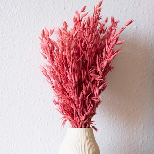 Flores Secas Decoracion, Ramo Flores Secas Naturales 40cm, Haver Rosa