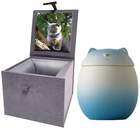 Umberdom Urne pour cendres de chat, urnes en céramique mate pour cendres de chat, urnes pour cendres d'animaux domestiques artisanales, cadeau commémoratif souvenir, support pour cendres avec boîte