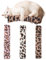 CATOR 3 piezas de cojín de hierba gatera, juguetes para gatos, juguetes gatos, juguete interactivo para gatos, juguete suave y duradero para gatos, interacción en interiores(B)