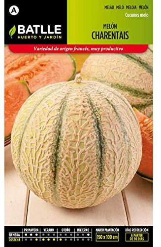 Semillas Batlle Graines de Melon Charentais, Blanc/Vert