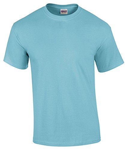 Gildan Mens Heavy Cotton Short Sleeve T-Shirt (L) (Sky)