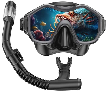 iParaAiluRy Masque Plongée Adulte Masque Tuba Adulte Masque Snorkeling Adulte avec Masque à Large Vue et Tuba Masque et Tuba Adulte pour la Natation et la Plongée
