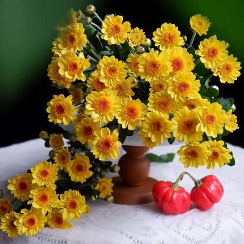 gänseblümchensamen - winterharte stauden garten balkon deko büro 150pcs