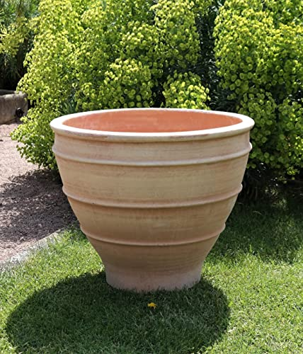 Palatina Werkstatt Großes XXL Terracotta Pflanzgefäß, Übertopf, 80 cm Durchmesser, winterfester Blumenkübel, Blumentopf für, Garten, Terrasse, Balkon, Buxus 80 cm