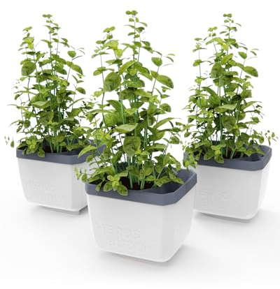 GUSTA GARDEN Herbs Buddy - Selbstbewässerungstopf & Kräutertopf für Küche & Fensterbank, Ideal für Basilikum, Wassertank, Wasserstandsanzeige