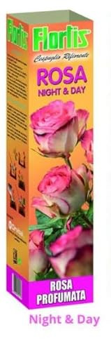 Generico Flortis Rosa Profumata Pregiate varietà di Arbusti a Cespuglio, Protezione Paraffina Anti Disidratazione, Profumo Intenso, Colori Assortiti, 10x10x42 cm 1 PIANTA di (Rosa Night E Day)