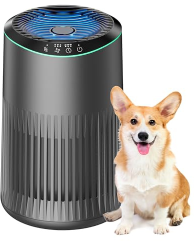 MERONTE Air Purifiers for Home, Air Purifier for Smoke Pet Dander Odors with Fragrance Sponge, Small Air Purifier with Sleep Mode for Bedroom Office, Blue Ambient Light, MR2566, Grey, 1 Pack+3 Modes