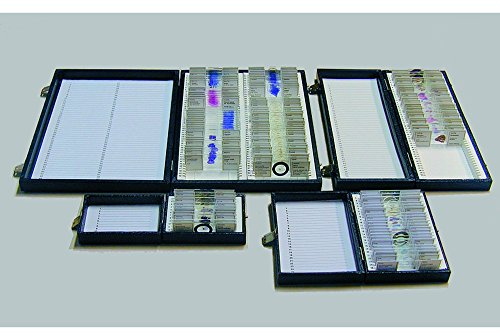 Windaus Präparate-Kasten, für 100 Objektträger (Objektträger Nicht enhalten)