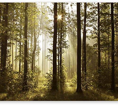 murando - Vlies Fototapete Wald 400x280cm- Foto Tapete Schlafzimmer Wohnzimmer Vliestapete XXL Wandtapete Motivtapeten Bildtapete 3d Effekt Wand Dekoration - Landschaft Natur Wald Bäume c-B-0254-a-a