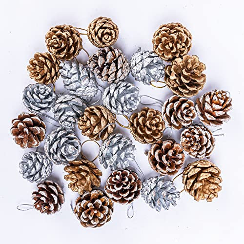 Lot de 27 Pommes de Pin, 3 Couleurs Naturelles, Argentées/Dorées/Blanches, Guirlande de Noël, Étiquette Cadeau, Suspendre