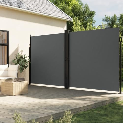 IKAYAA Seitenmarkise Ausziehbar Markise 220 x 1000 cm, Sichtschutz, Sonnenschutz, Blickdicht, Seitenrollo, Markise ausziehbar für Balkon, Terrasse, Garten, Anthrazit