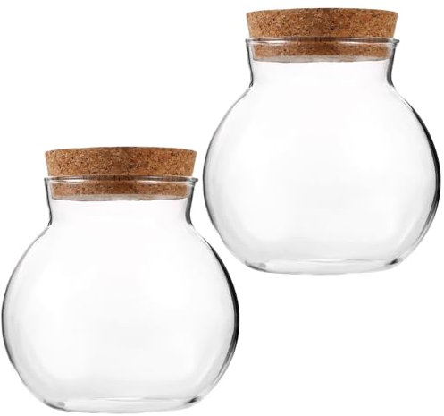 FUNOMOCYA Lot De 2 Pots Écologiques avec Couvercle en Liège pour Micropaysage pour Décoration Intérieure