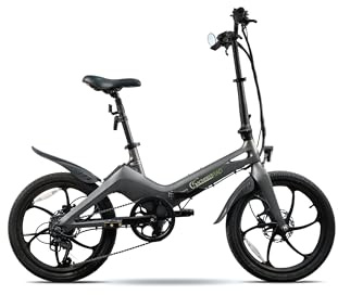 SachsenRAD Vélo Électrique Pliant F11 Pro MagPuma 20 Pouces VAE Pliable Adulte Ultra Léger 19kg en Magnésium Design If Award Batterie Amovible 100km Idéal Vélotaf et Ville